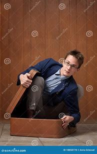 Image result for Man in Suitcase Theme