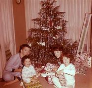 Image result for Family Holiday Photos 1960