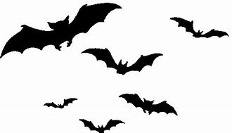 Image result for Transparent Bat Shadow