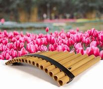Image result for Satyr Pan Flute