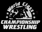 Image result for Wrestling Logo