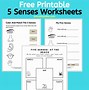 Image result for Five Senses Matching Worksheet