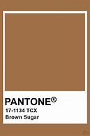 Image result for Pantone Brown Colors