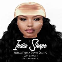 Image result for India Shape