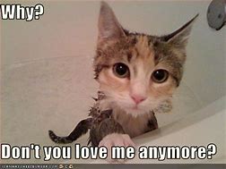 Image result for You Don't Love Me Anymore Meme