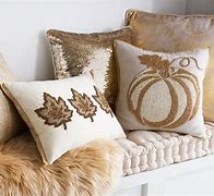 Image result for Fall Decorative Pillows