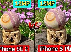 Image result for iPhone SE 2 vs 3 Starlight White