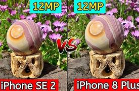 Image result for iPhone SE2 Dual Cameras