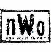 Image result for NWO Logo.png
