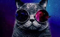 Image result for Galaxy Cat Wallpaper for Computer