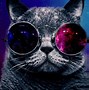Image result for Cool Galaxy Cat