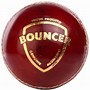 Image result for SG Cricket Ball