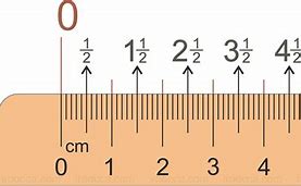 Image result for 10 mm Ruler