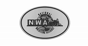 Image result for NWA Wrestling Belts