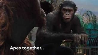 Image result for Apes Together Strong