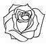 Image result for One Line Art Rose