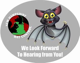 Image result for Bat Exterminator Funny