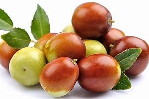 Image result for Jujube Fruit