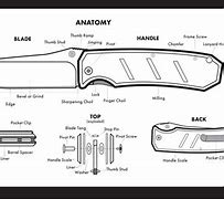 Image result for Pocket Knife Anatomy