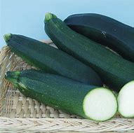 Image result for Squash/Zucchini Hybrid