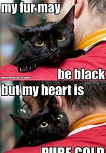 Image result for Black Cat Love Memes