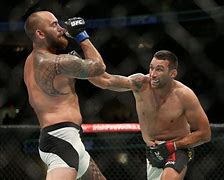 Image result for UFC Champions