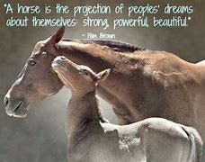 Image result for Adorable Horse Quotes