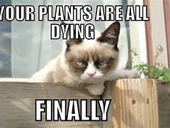 Image result for Gardening Memes