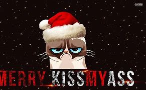 Image result for Kitty Christmas Funny