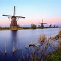 Image result for Netherlands Mills and Tulips