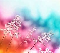 Image result for Pretty Background Designs
