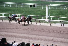 Image result for Watch Belmont Stakes