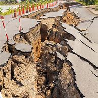 Image result for People in Earthquake