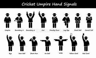 Image result for Cricket Hand Signals