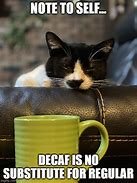 Image result for Cat Coffee Meme
