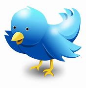 Image result for Twitter Bird Logo Free