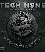 Image result for Tech N9ne the Pledge Lyrics