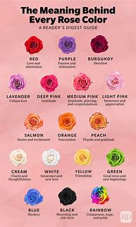 Image result for Pink Rose Names