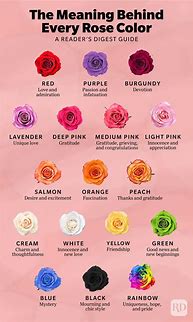 Image result for Flower Meanings Chart