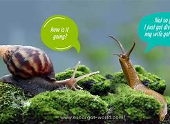 Image result for Cute Snail Memes