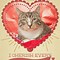 Image result for cats valentines memes