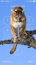 Image result for Windows Lock Screen Lion