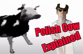 Image result for 1980X1080 Dancing Polish Cow