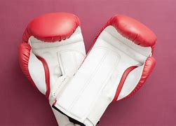 Image result for Boxing Gloves for Kids