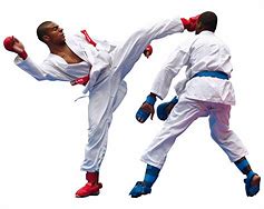 Image result for Shotokan Kumite