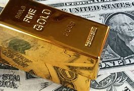 Image result for Gold Money Spraygound