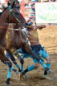 Image result for Indian Relay Horse Racing