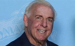 Image result for Ric Flair WWE Debut