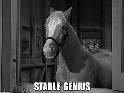 Image result for Stable Genius Meme