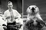 Image result for Otter Young Man